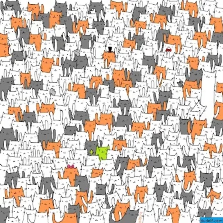 Сотни кошек и один кролик - всего 2% найдут ушастого за 10 секунд - фото 1