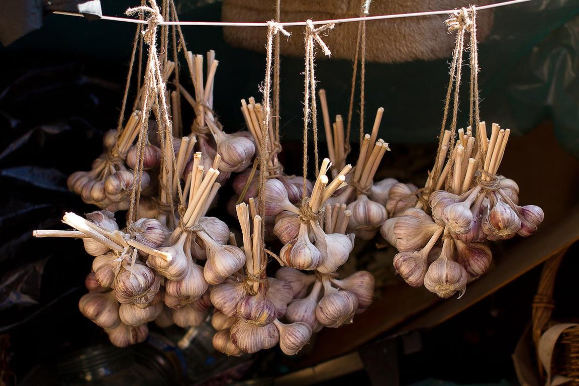 Як зберігати часник правильно — секрети та способи, про які знають не всі
