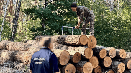 Экс-руководитель харьковского лесхоза "простил" долги бизнесмену - 285x160