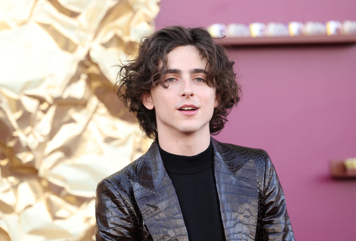 Про актора Тімоті Шаламе гнівно висловилися колеги