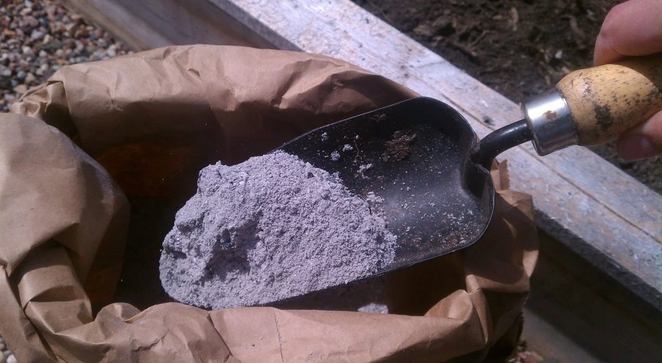 Рослини, які не можна підживлювати попелом