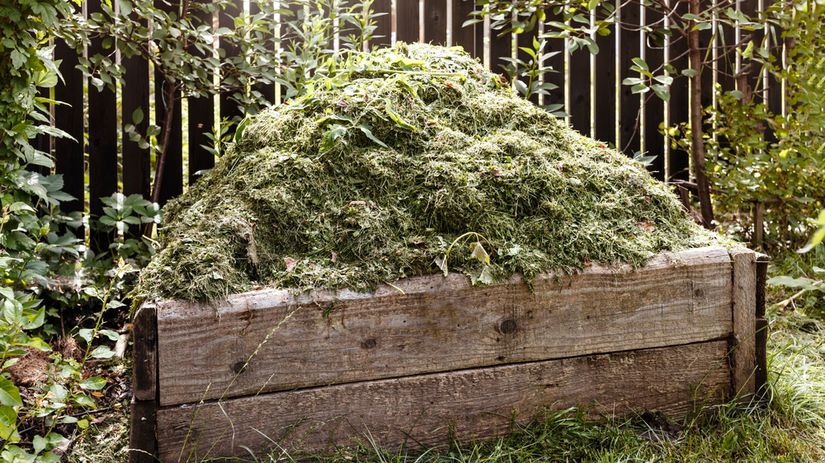 Трава в компосте