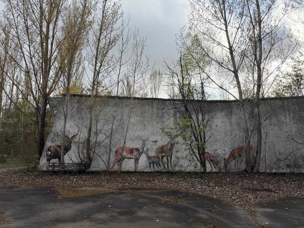 Припʼять, ЧАЕС