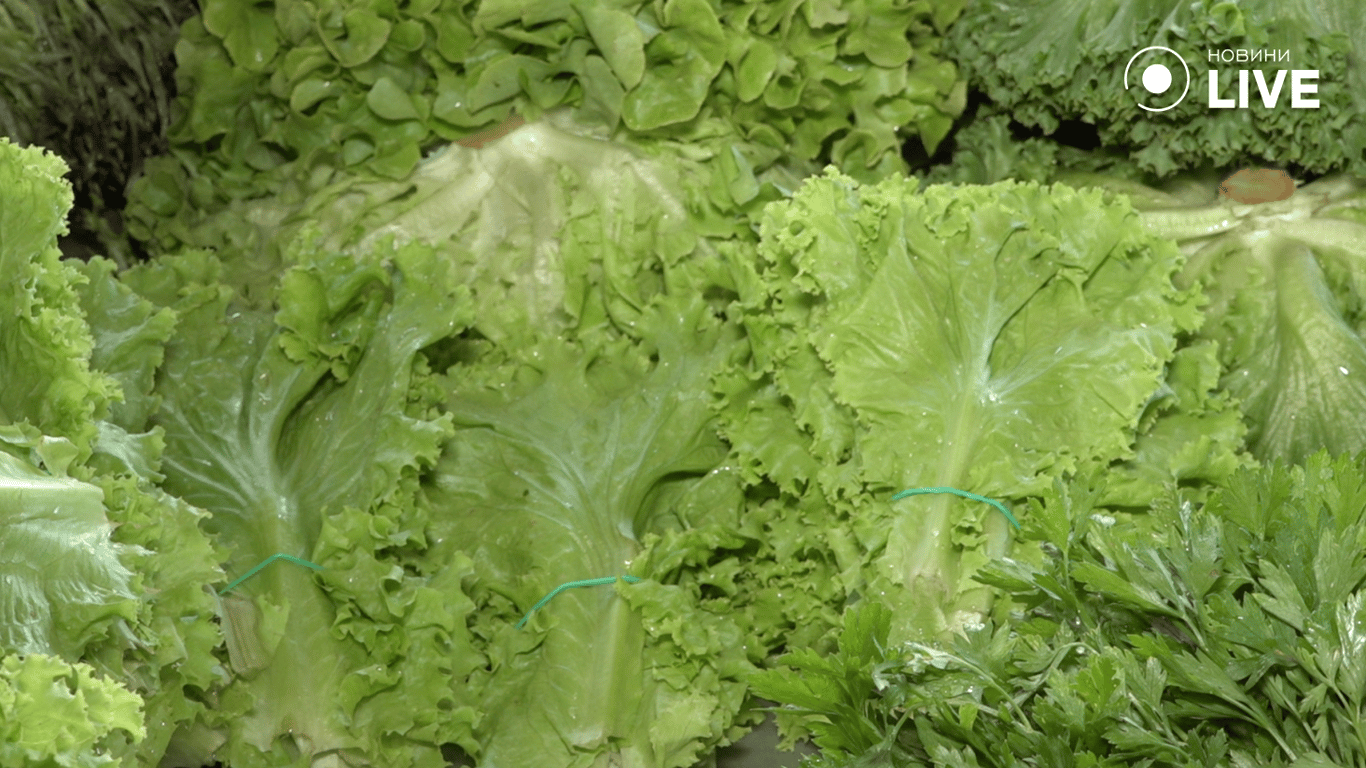 Зелень на "Привозі"