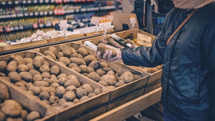 Процесс начался — что происходит с ценами на картофель в Украине - 285x160