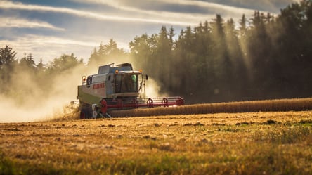 Ціни на зерно в Україні — скільки коштує пшениця у травні - 285x160