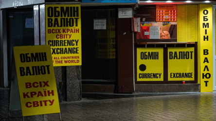 Євро та долар "поклали на лопатки" — в якій валюті краще зберігати гроші - 285x160