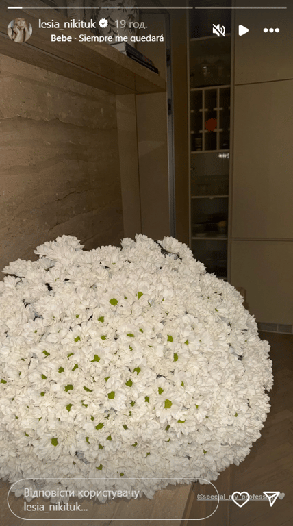 Леся Нікітюк похвалилася розкішним подарунком від коханого — фото - фото 1