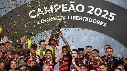 Фанаты Фламенго "подожгли" Рио-де-Жанейро после исторической игры - 285x160