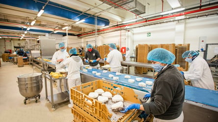 Как заработать 60 000 гривен на упаковке булочек — новая вакансия на известном производстве в Польше - 285x160