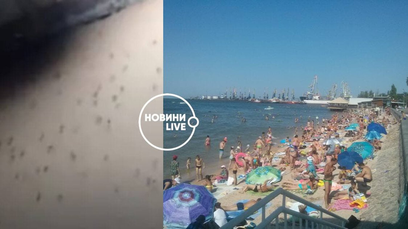 В Бердянську відпочивальників атакували комарі - подробиці