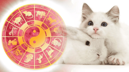 Восточный гороскоп для Кролика на 2026 год — что несет Лошадь - 285x160