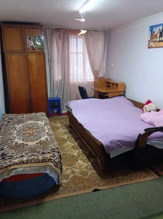 Как выглядит дом в Карпатах, который продают за 15 000 долларов (фото) - фото 19