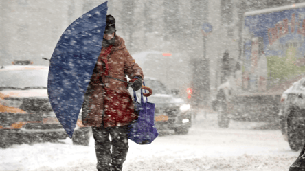 Украинцев засыпет снегом — в каких областях синоптики предупреждают об опасности - 285x160