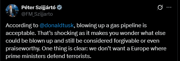 Сіярто звинуватив Дональда Туска у "захисті терористів" - фото 1