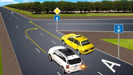 Тест ПДД для грамотных водителей — кто нарушает правила - 290x160