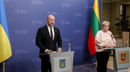 Шмигаль заявив, що Литва закупить для України 3000 безпілотників - 285x160
