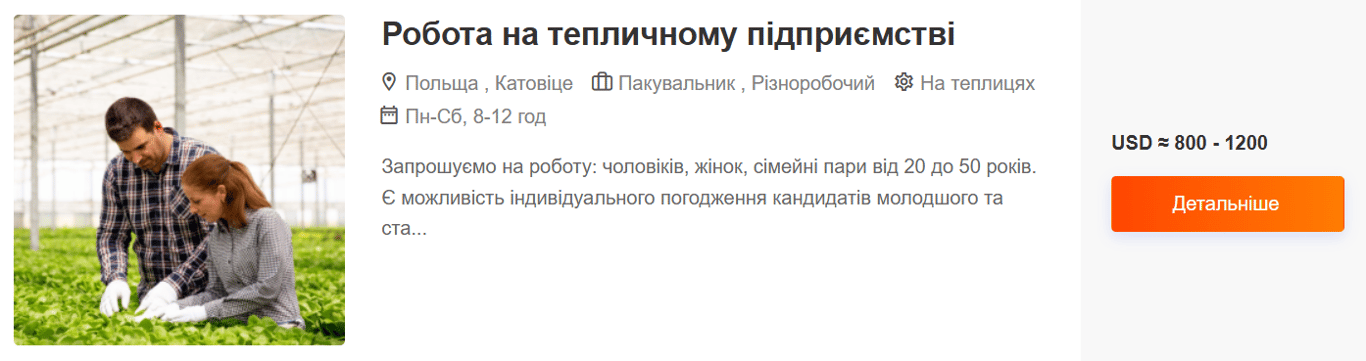 Украинцы в Польше 2025 — какая сезонная работа высокооплачиваемая - фото 1