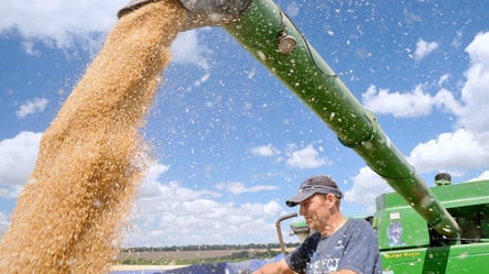 На Харківщині зібрали понад 1 млн тонн пшениці - 285x160