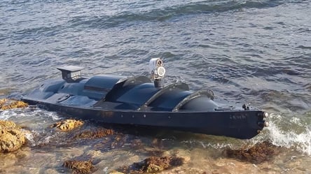 Могут ли украинские морские дроны потопить Черноморский флот: ответ депутата - 285x160