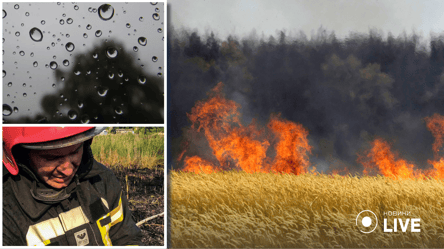 Масштабный пожар в Дунайском биосферном заповеднике погасил дождь - 285x160