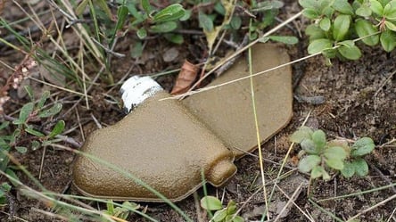 Враги сбрасывают на Харьковщину запрещенные в мире кассетные бомбы с минами "Лепесток" - 285x160