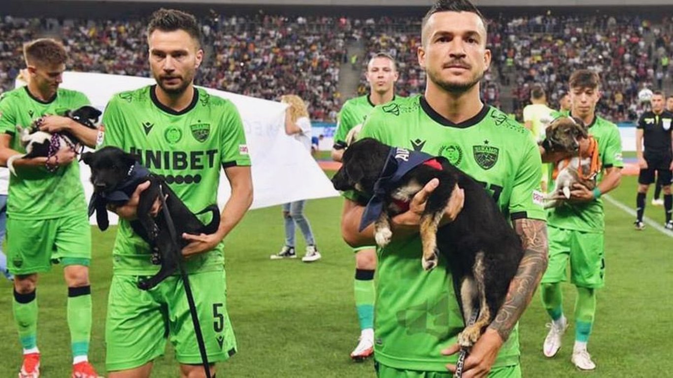 В Румынии футболисты Динамо вышли на поле с собачками, чтобы найти им дом. Фото