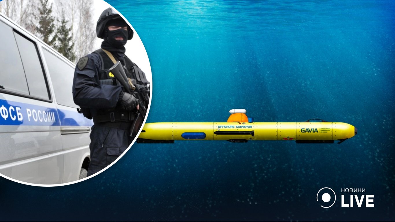 Виробник підводного безпілотника для міноборони рф вписав у кошторис непотрібні деталі