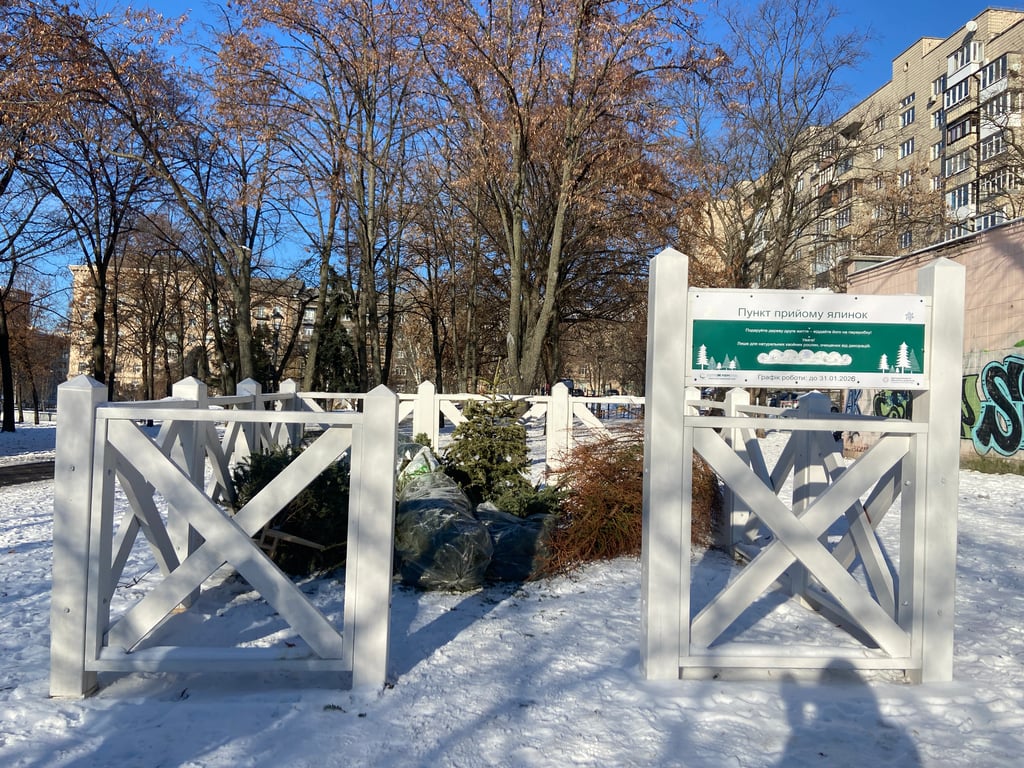 Пункт прийому ялинок у Києві