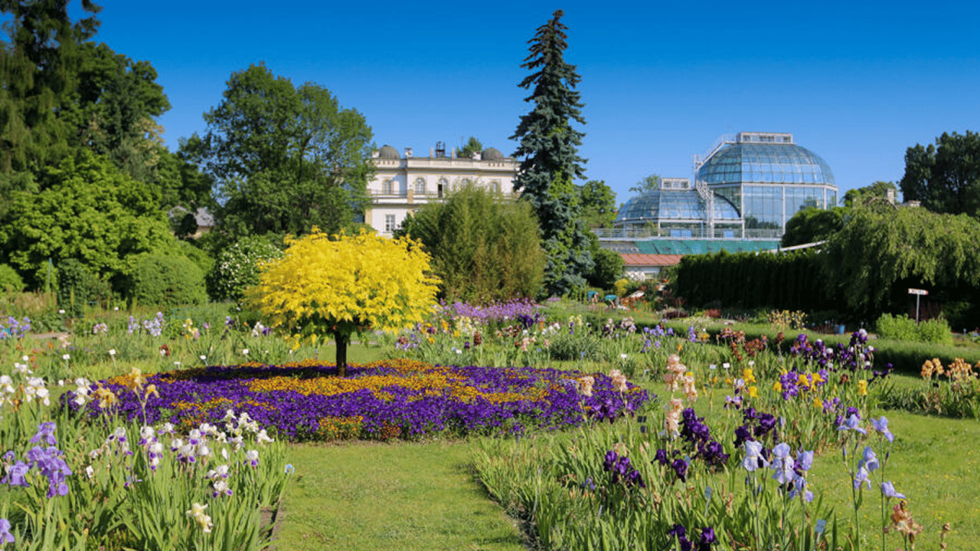 Ботанічний сад Ягеллонського університету