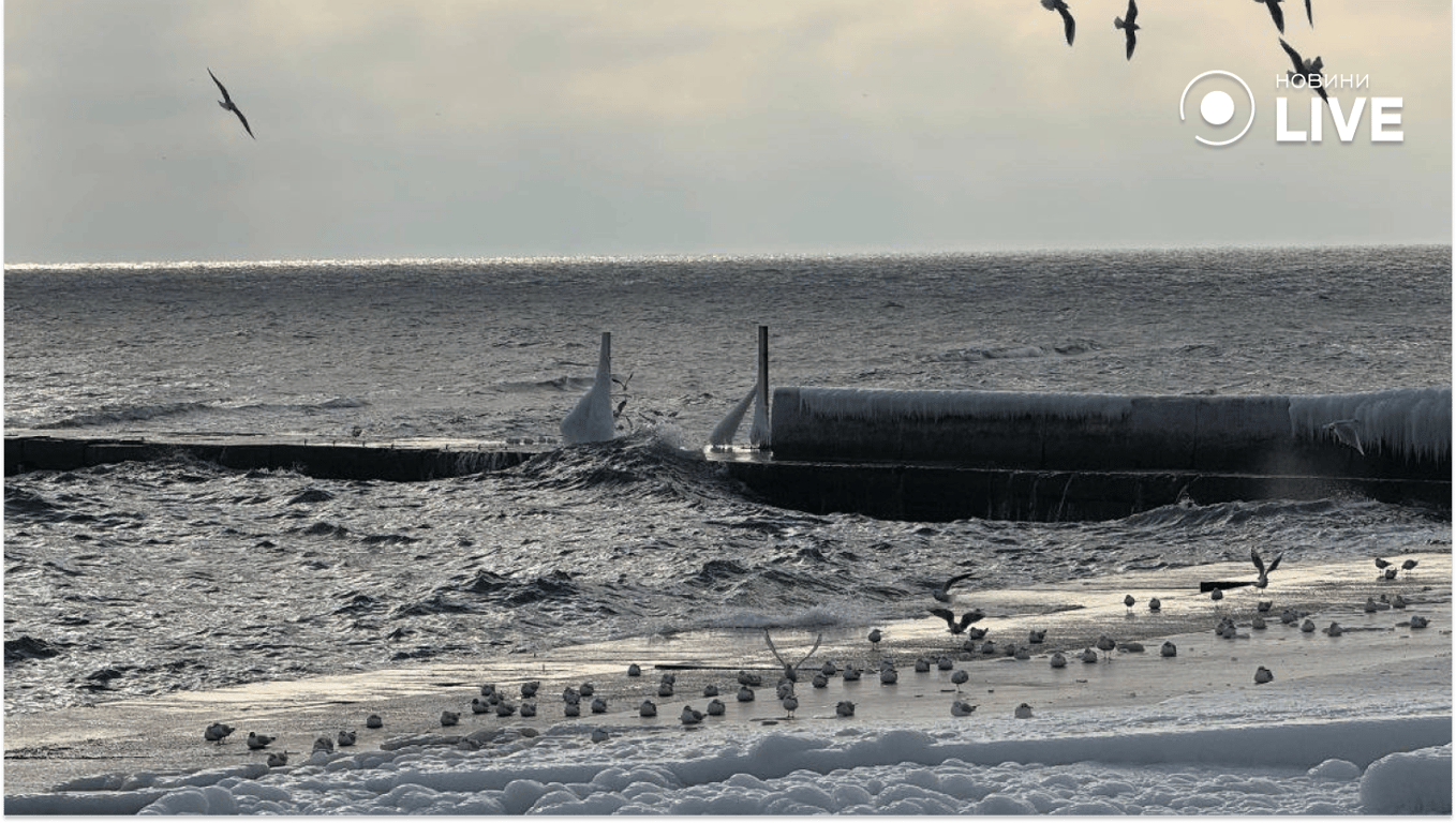 Люди гуляють зимовим узбережжям