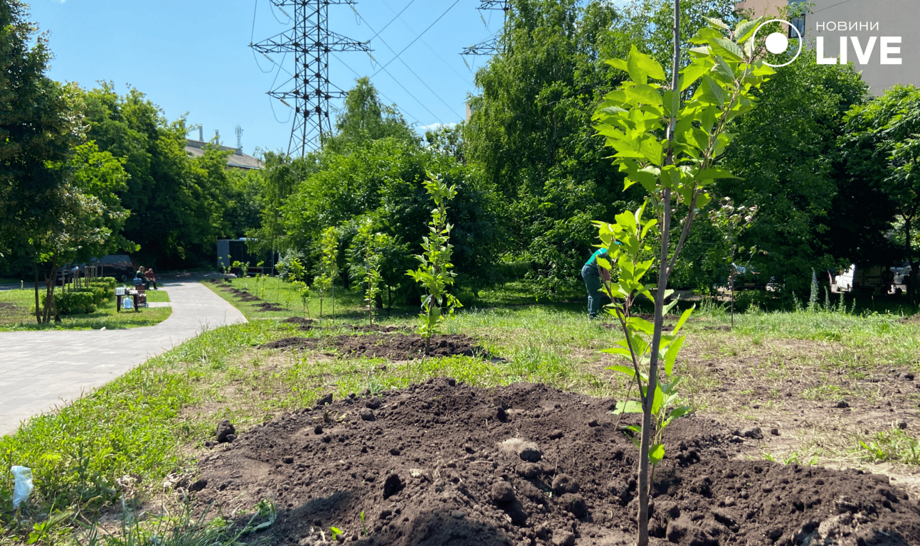  Сквер памʼяті загиблих журналістів