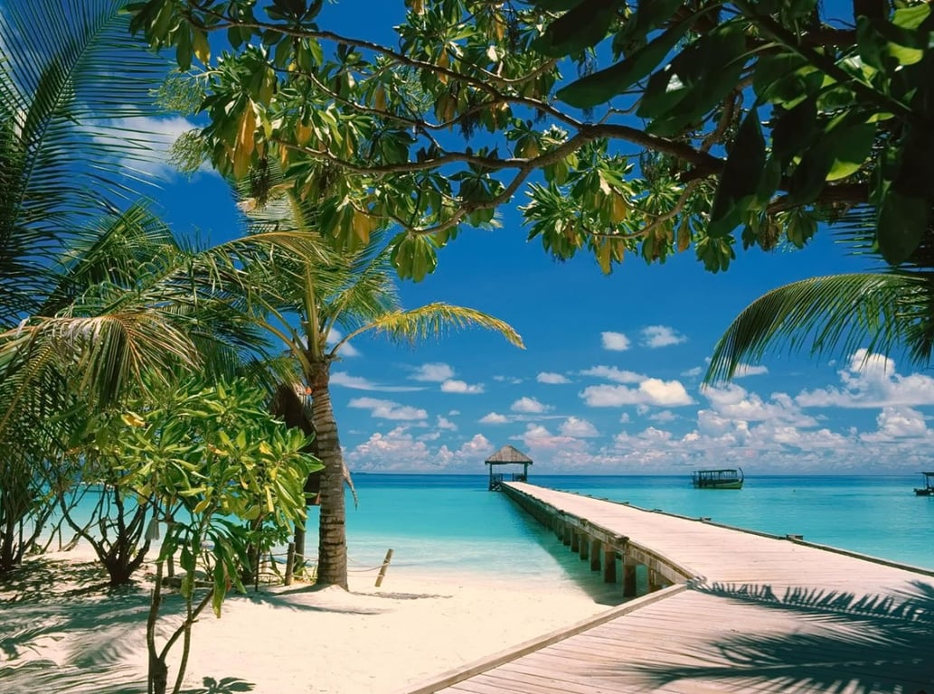 Райські Мальдіви — скільки коштує відпочинок взимку - фото 1