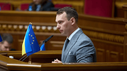 Железняк пояснив, чому Україні доведеться переписати Митний кодекс - 290x166