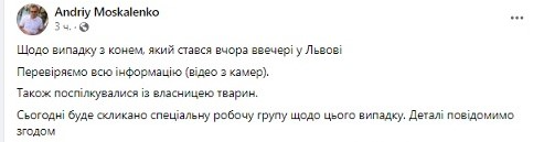 Городские власти об инциденте с лошадью во Львове