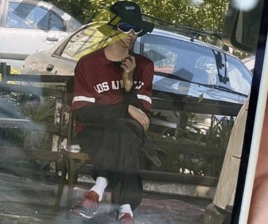 Напад на Ірину Фаріон