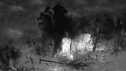 Прикордонники знищили росіян та їх укриття — ефектне відео - 285x160