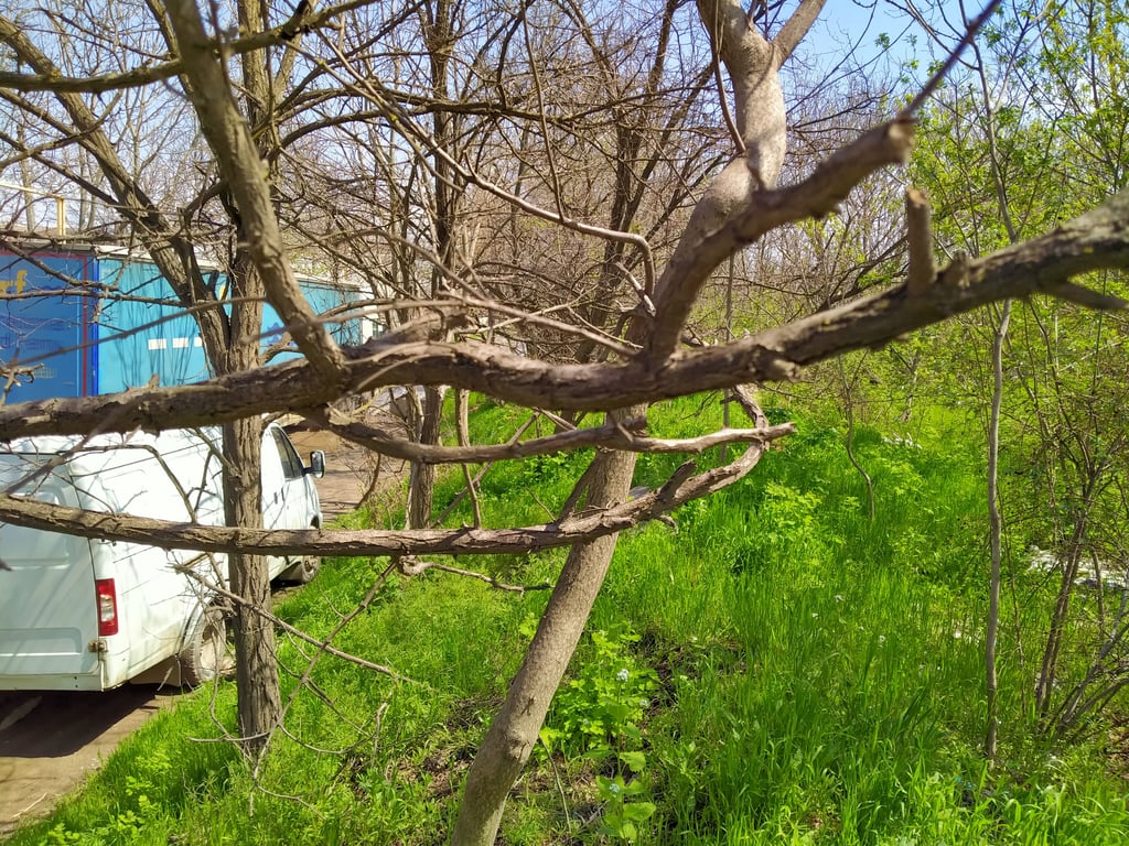 Сквер, который продают в Одессе