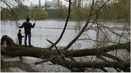 Сколько рыбы можно поймать за день без нарушения закона в 2025 - 290x160