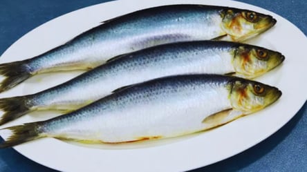 Сельдь вкуснее дорогого лосося — по еврейскому рецепту - 285x160