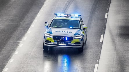 Перевозчик получил огромный штраф от полиции в Швеции: что случилось - 285x160