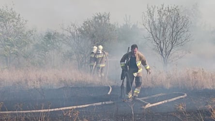 Масштабна пожежа на Миколаївщині: робота вогнеборців ускладнена - 285x160