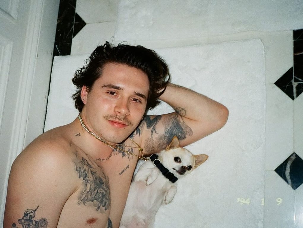 Бруклін Бекхем та Нала