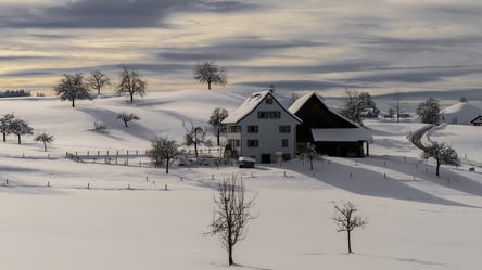 Не только забор — за какие нарушения сосед может подать в суд - 285x160