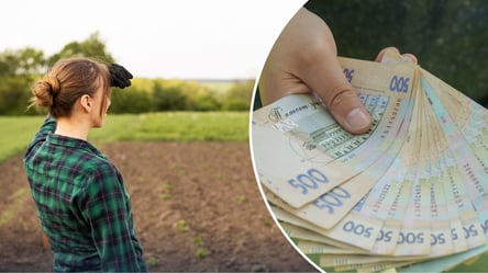 Власники паїв можуть залишитися без грошей: українців попередили про небезпечну помилку - 285x160