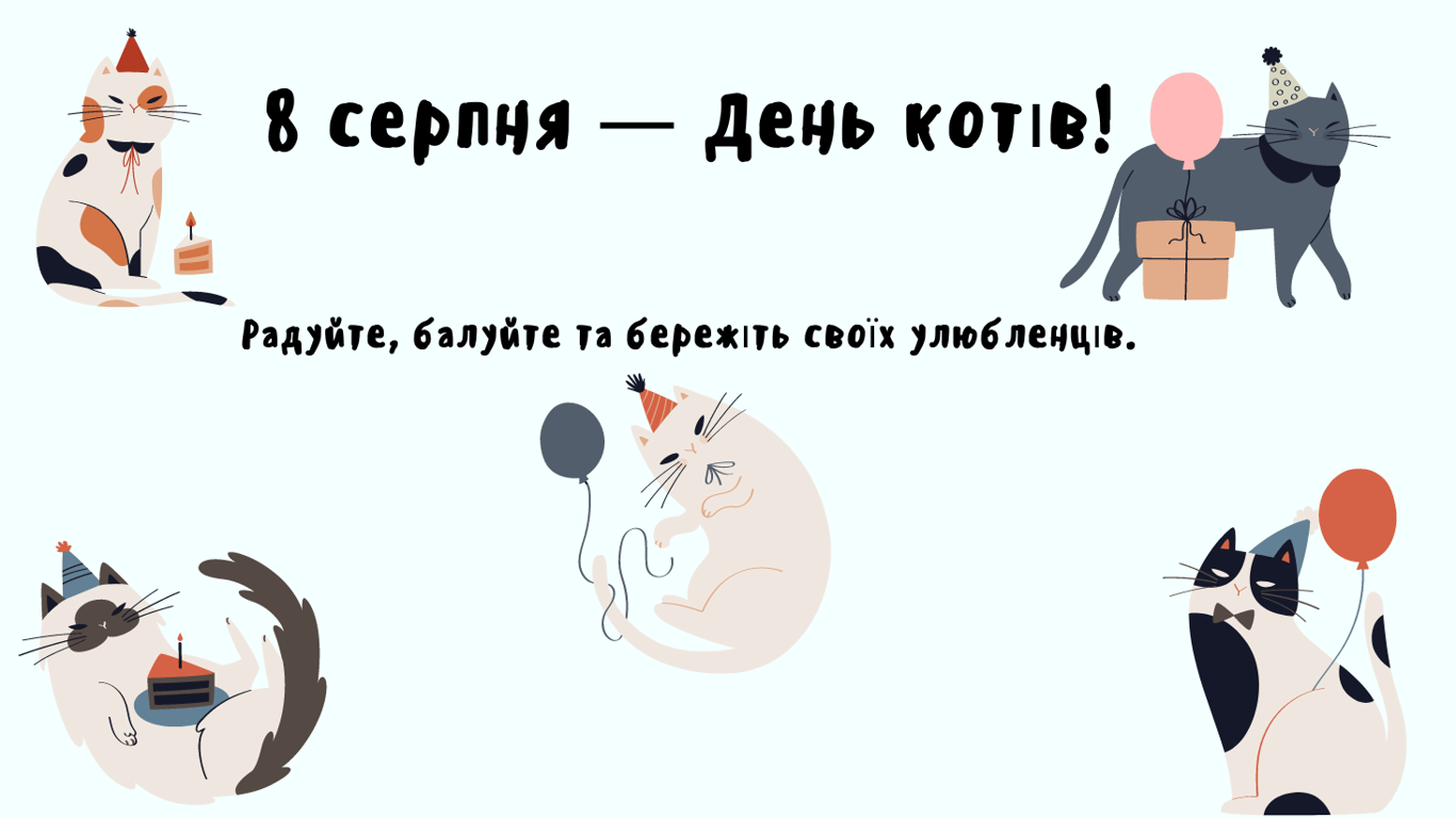 День котов 8 августа 2024 — красивые открытки к празднику
