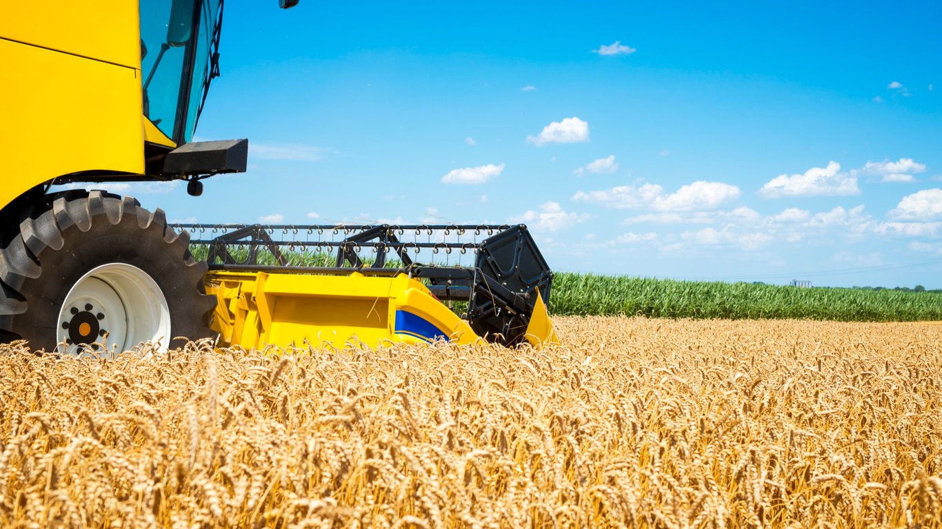 Ціни на зернові в Україні станом на 5 травня 2024 року
