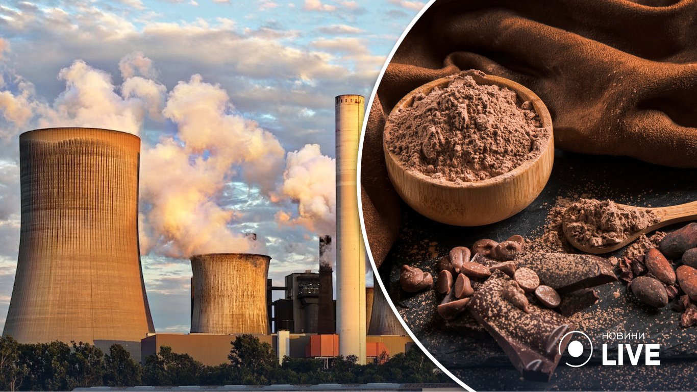 Как какао может противостоять изменению климата