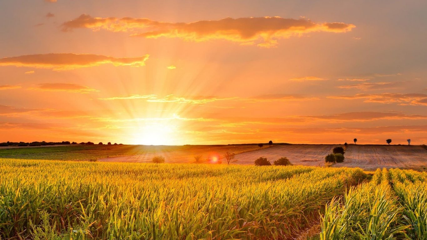 Що віщує нам перший день літа — прикмети по сонцю, небу і зіркам