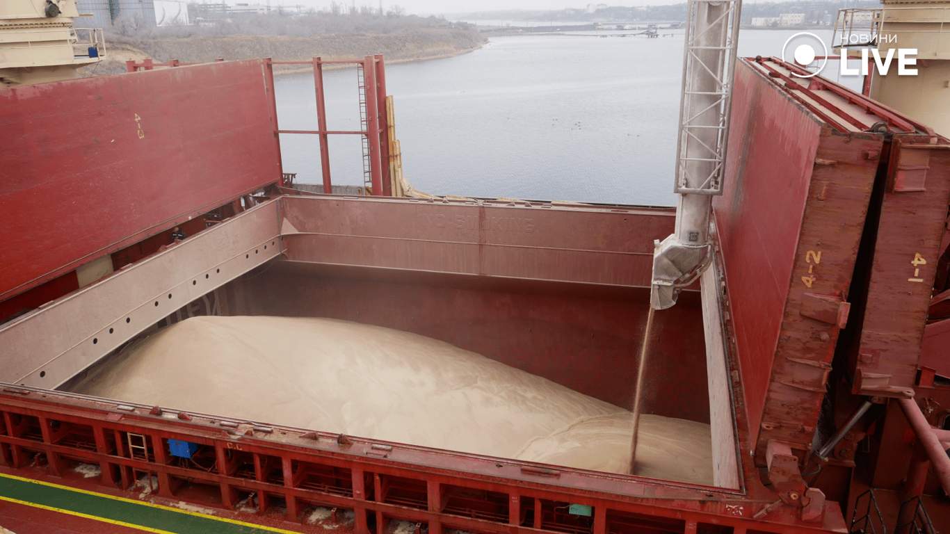 30 миллионов тонн грузов перевезли через черноморские порты Украины — подробности